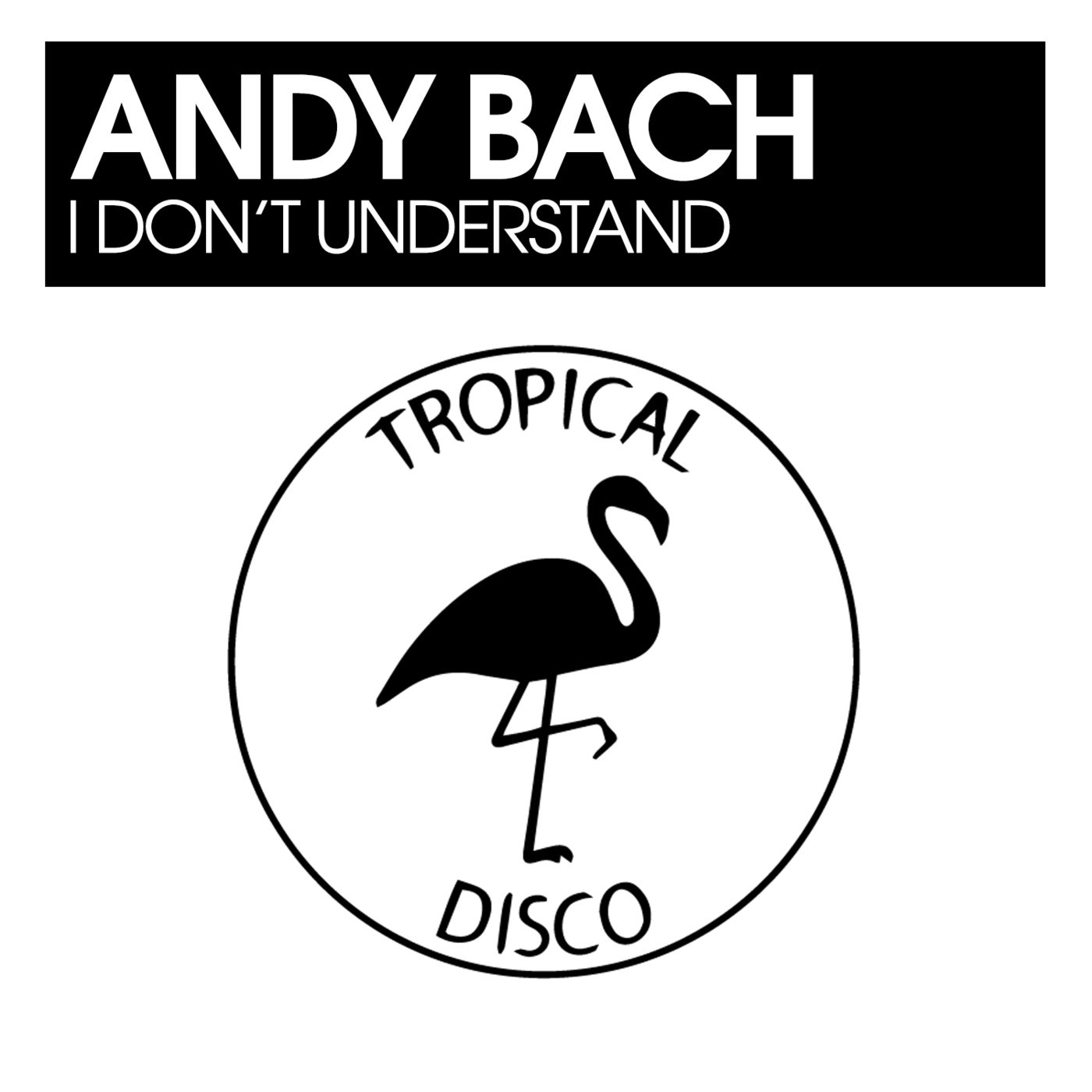 Andy Bach - I Don't Understand [TDR192]